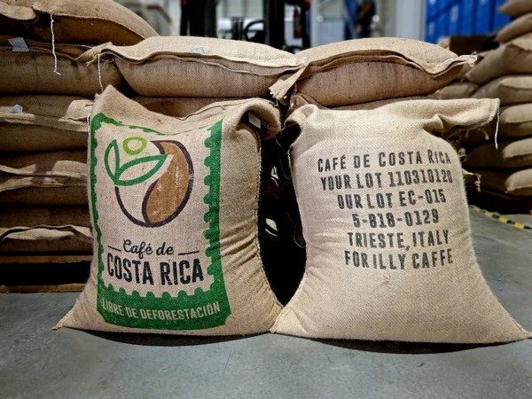 산림전용으로 생산하지 않았음을 증명하는 코스타리카산 커피. 사진=UNDP