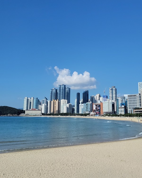 미포항에서 바라본 부산시의 고층 빌딩들. 사진=박태정 기자
