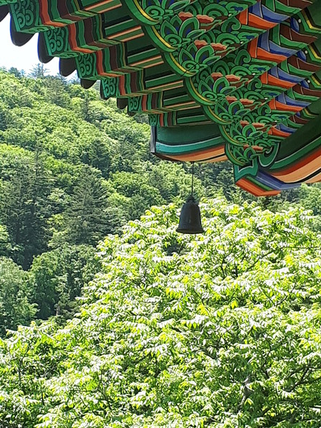 오대산 상원사에 걸려있는 풍경. 상원사 문수보살님을 뵙고 오는 길에 처마끝에 있는 풍경을 달고 왔다. 천음회향처럼 아직도 귀에 생생하다. 사진=박준환 기자